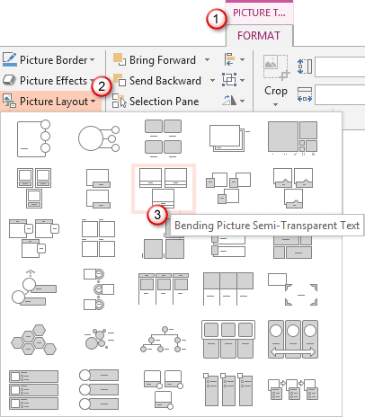 PowerPoint Picture Tools