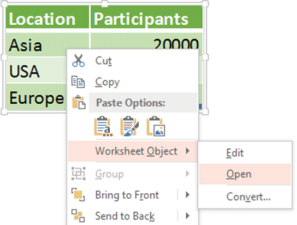 Open an embedded file