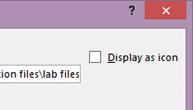Insert Object - Display as Icon Insert Object - Display as Icon