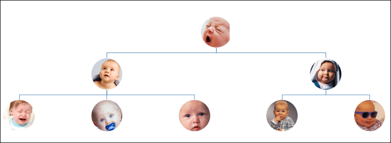 Picture Organizational Chart