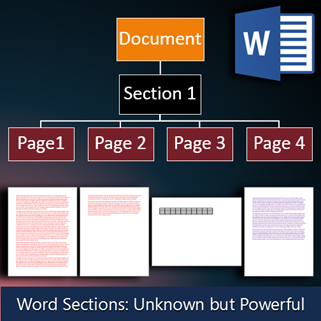 word sections concepts by Dr. Nitin paranjape