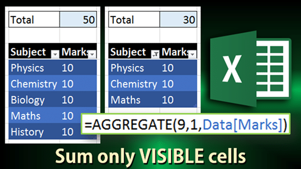 Aggragate function to Sum visible cells only