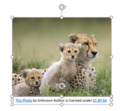 PowerPoint clipart - with attribution