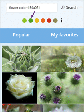 Pexel search with keyword and color