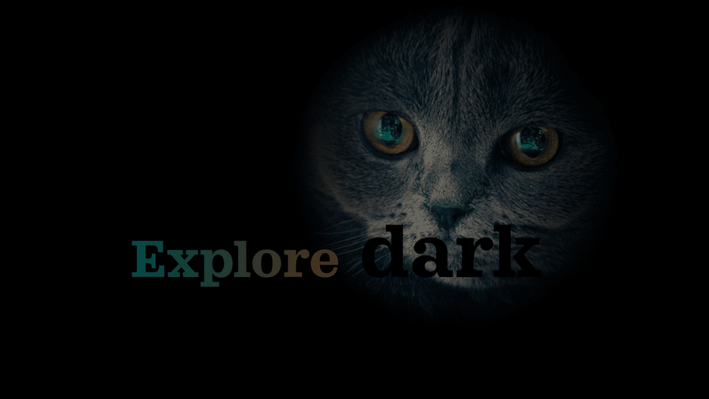 Dark mode poster showing a cat in dark.