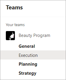 Sample team - Beauty Program - with four channels
