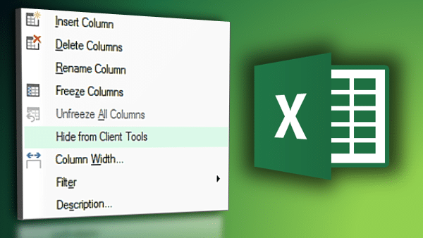 Hide from client tools poster Power BI